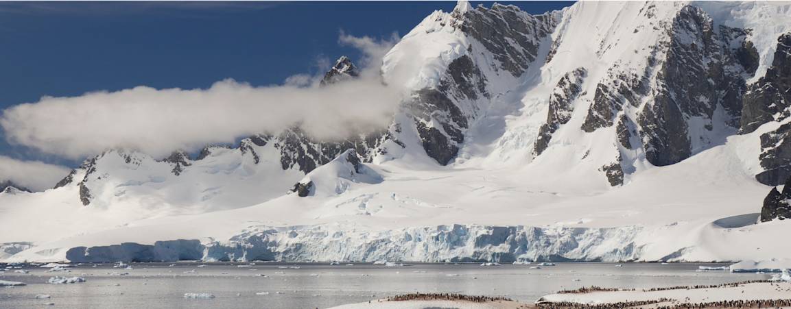 Arctic glaciers and sea ice 