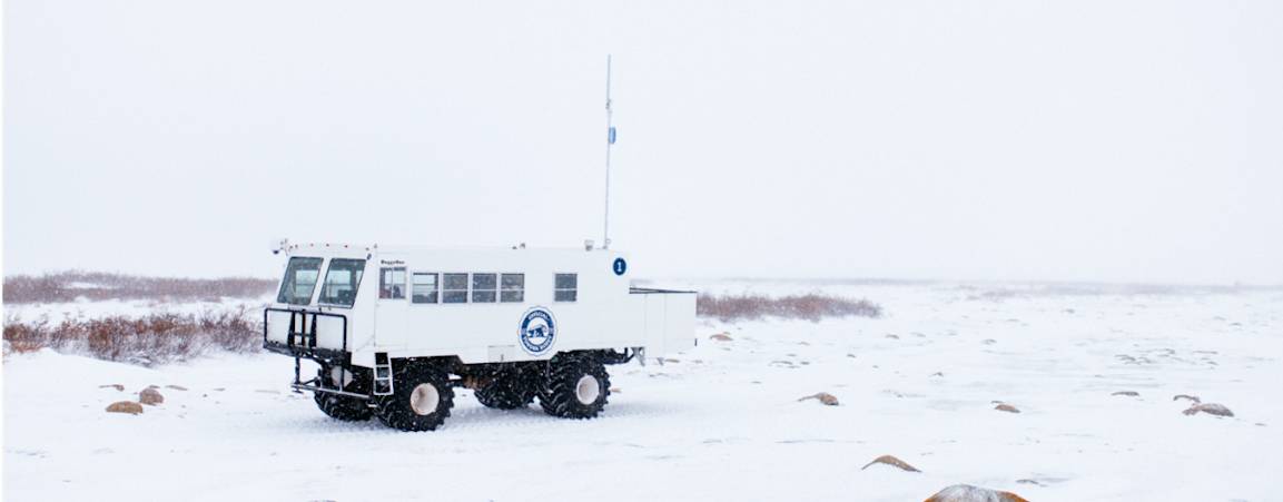 Tundra Buggy One