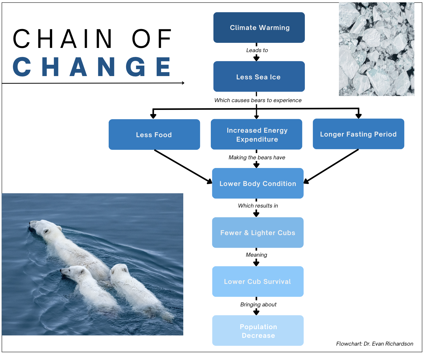 Chain of Change Infographic. 