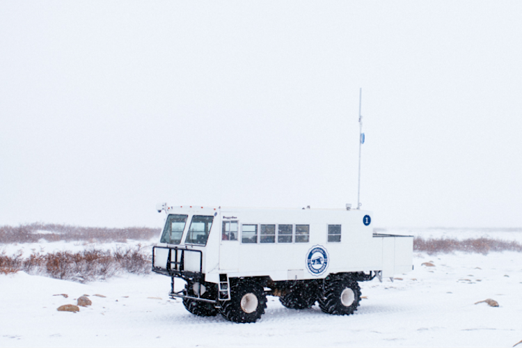 Tundra Buggy One making its way across the snowy tundra 